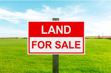 Real Estate Investment Tips