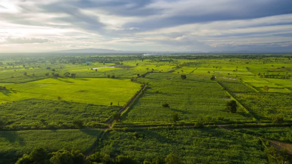 Real Estate Investment Tips