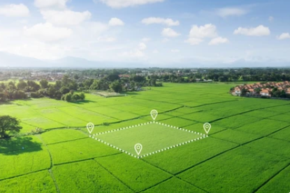 Real Estate Market Trends